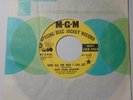 SUZI JANE HOKOM Need All The Help I Can Get 45 MGM Promo RARE Garage Psych Mod ?