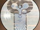 CHAMELEONS   WHAT DOES ANYTHING MEAN?   NUM. LTD. ED. VINYL LP PIC DISC   *NEW*