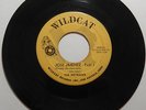 THE WETBACKS Jose Jimenez 45 rpm Wildcat RARE TX Inst. Rock Tittyshaker HEAR mp3