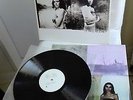 PJ HARVEY     original Vinyl LP     Is This Desire ?