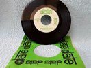 Vintage Dick Wagner & The Frosts 45 Rpm Radio Copy Sunshine/Little Girl (1596)*