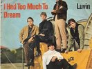 THE ELECTRIC PRUNES-I HAD TOO MUCH TO DREAM
