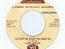 NORTHERN-LARRY SANTOS-YOU GOT ME WHERE YOU WANT ME-US EVOLUTION PRESSING