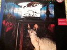 MIDNIGHT OIL SPECIES DECEASES VINYL LP 1985 ORIGINAL AUSTRALIAN PRESS EX 12023