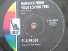 (PJ PROBY-Hanging From Your Loving Tree)-New Yardbirds/LED ZEPPELIN- I8-7