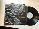 THE SUNDAYS Reading Writing And Arithmetic 1990 UK Vinyl LP Orig OOP rough trade