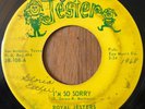 ROYAL JESTERS I'm So Sorry 45 on Jester Texas chicano northern soul