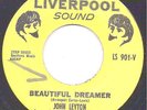 John Leyton 45 THE LIVERPOOL SOUND 901 Beautiful Dreamer M-
