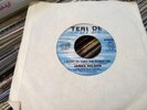 JAMES NELSON - MELLOW MELLOW ME / I WANT TO TURN THE WORLD ON - 7INCH SOUL SINGL