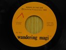 Wandering Magi folk rock psych 45 Magic in the air bw Ritual Dance