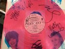 The Go-Go's Signed Autographed Beauty and the Beat Vinyl LP Record NEW Full Band