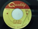 Mega  rockabilly RONNIE HAWKINS 