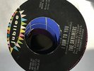 The Skyliners- Don’t Hurt Me Baby/I Run To You- Jubilee 45-5520- EX