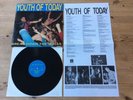 1988  LP Youth Of Today ?– Break Down The Walls VINYL  We Bite Records