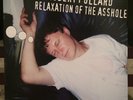 Robert Pollard - Relaxation of the Asshole LP RARE Guided By Voices GBV