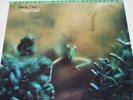 Steely Dan ?– Katy Lied - Original Master Recording  Vinyl Record LP MFSL 1-007