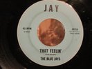 THE BLUE JAYS-Rare 1965 Northern Soul-