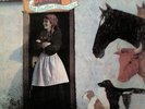 BUNYAN, Vashti - Just Another Diamond Day (reissue) - Vinyl (LP)