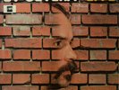 DLP: Wolfgang Dauner's ET CETERA: LIVE, Original MPS 1973, Fusion, Exp. Jazz