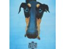 BIG COUNTRY Why The Long Face Tour 1995 TOUR PROGRAMME Europe 1995 Original 20