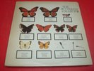 THE JAM *The Butterfly Collector' RARE Unofficial U.S. 2-LP 'Live' Set
