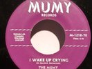 THE MUMY Sweet Soul 45 I Wake up Crying  MUMY EX
