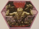 Suicidal Angels Patch Divide and Conquer rare Evil Invaders Warbringer Aufnäher