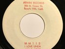 JAN & ARNIE I Love Linda/The Beat RARE TEST PRESSING 1958 Arwin Jan+Dean VG++