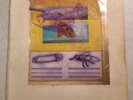Rare One Of A Kind Handmade ROBERT POLLARD Collage. Art/ Guided By Voices