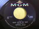 Rare Soul 45 : Johnny Nash   Glad You're My Baby   Stormy   MGM K13805