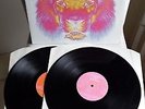 THE BLACK CROWES     original Vinyl 2LP     Lions (2001)