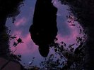 Slow Crush-Aurora VINYL NEW