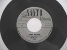 THE HOLIDAYS - KILLER 2 SIDED MEMPHIS GARAGE INSTRO 45 - DARK VALLEY / DESPERATE