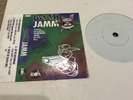 Death Jamm - Putt Sardara De By Safri - RECORD VINYL PUNJABI FOLK BHANGRA RARE