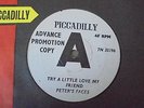 Peter's Faces - I Don't Care 1964 UK 45 PICCADILLY DEMO MOD/R&B