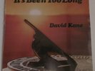 DAVID KANE original 1979 US hippie loner/outsider folk psych private SEALED NEW