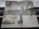 TONTON MACOUTE - 1st UK Press 1971 RCA NEON (Warhorse, Spring, Vertigo Swirl NM