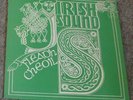 Fleaon Cheoil - Irish Sound LP privat