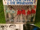 SAM THE SHAM & PHARAOHS LI'L RED RIDING HOOD 1966 •1st press SHRINK garage psych