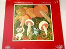 MUTUAL UNDERSTANDING In Wonderland NIMBUS ORIG Canada Psych HOLY GRAIL LP Pokora