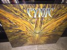 CYNIC 