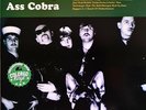 Turbonegro from Norway. Ass Cobra NEW RE LP. Green vinyl