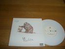 Korn-Evolution.7