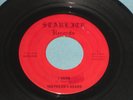 RARE  45 Ohio Garage Starlite label SHEPHERD'S HEARD But That's Life / I Know
