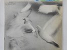 Donald Byrd Free form W.Shorter-Hancock Blue Note NY stereo Van Gelder