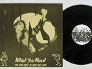 INXS WHAT YOU NEED/VERY VEST OF 1983-1986 WEA PS-282 Japan PROMO VINYL LP