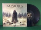 Black Veil Brides - Wretched And Divine 2 LP | Republic Records B0017817-01 | EX