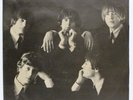 The Byrds 