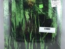 Promise Ring - Wood/Water 2LP NEW CLEAR VINYL