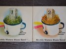 the warsaw session - muddy waters blues band 2 lp vinyl